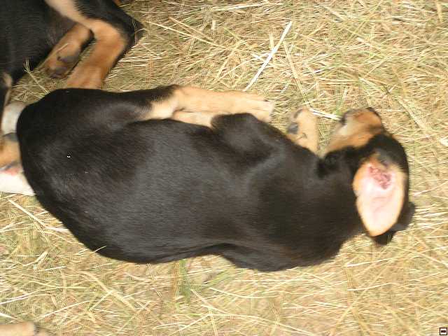 NZ leden-unor 2006 084.jpg